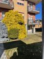 Affitto, Appartamento, CUNEO, 420 €, 53,00 mq