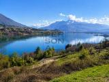 Particella, CALCERANICA AL LAGO, 167.000 €, 11000,00 mq