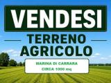 Particella, CARRARA, 55.000 €, 1000,00 mq