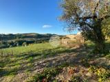 Particella, COLLEVECCHIO, 25.000 €, 2480,00 mq