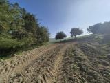 Particella, CONTRADA, 69.000 €, 260,00 mq