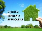 Particella, ALESSANDRIA, 18.000 €, 1500,00 mq