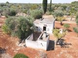 Particella, SAN VITO DEI NORMANNI, 28.000 €, 8500,00 mq