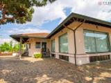 Superfici commerciali, CASTANO PRIMO, 1.450.000 €, 1439,00 mq