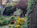Casa, PADERNO PONCHIELLI, 350.000 €, 192,00 mq