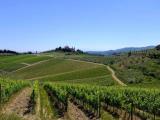 Particella, GAIOLE IN CHIANTI, 250.000 €, 40000,00 mq