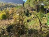 Particella, ASSISI, 50.000 €, 1900,00 mq