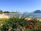Affitto, Appartamento, GOLFO ARANCI, <i>A richiesta</i>, 45,00 mq