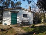 Particella, GAVORRANO, 89.000 €, 50,00 mq
