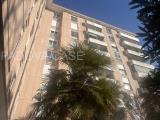 Appartamento, PALESTRO, 220.000 €, 175,00 mq