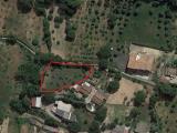 Particella, MONTALTO UFFUGO, 30.000 €, 3290,00 mq