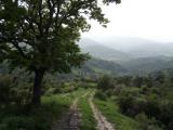 Superfici commerciali, ORIOLO, 90.000 €