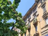 Affitto, Appartamento, MILANO, 1.050 €, 80,00 mq