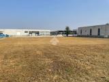 Particella, BOVOLONE, 150.000 €, 3500,00 mq