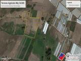 Particella, FONDI, 70.000 €, 14121,00 mq