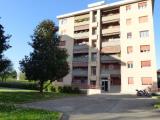 Appartamento, BOLLATE, 190.000 €, 90,00 mq
