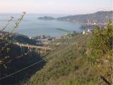 Particella, RAPALLO, 140.000 €, 90,00 mq