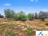 Particella, CAROVIGNO, 38.000 €, 5750,00 mq