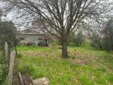 Superfici commerciali, CAPALBIO, 180.000 €, 120,00 mq