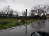 Particella, SAN NICOLA LA STRADA, 90.000 €, 2300,00 mq