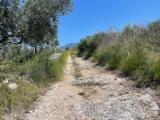 Particella, TIVOLI, 69.000 €, 36000,00 mq