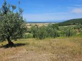 Particella, SANTA LUCE, 35.000 €, 17000,00 mq