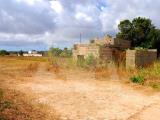 Particella, CORSANO, 43.000 €, 2500,00 mq