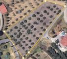 Particella, MONTEROTONDO, 39.000 €, 3500,00 mq