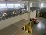 Affitto, Superfici commerciali, COLLESALVETTI, 5.000 €, 800,00 mq