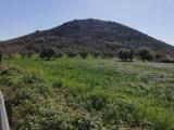 Particella, CAIAZZO, 75.000 €, 22000,00 mq