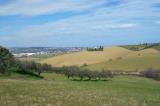 Particella, SAN MINIATO, 10.000 €, 7500,00 mq
