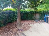 Appartamento, BIENTINA, 285.000 €, 165,00 mq