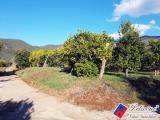 Particella, FONDI, 42.000 €, 3500,00 mq