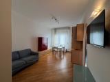 Affitto, Appartamento, FIRENZE, 800 €, 45,00 mq