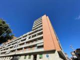 Appartamento, TORINO, 260.000 €, 159,00 mq