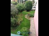 Appartamento, VIGODARZERE, 315.000 €, 235,00 mq