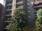 Affitto, Appartamento, MILANO, 650 €, 30,00 mq