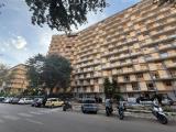 Affitto, Appartamento, PALERMO, 950 €, 210,00 mq