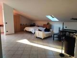 Affitto, Appartamento, CARMAGNOLA, 400 €, 50,00 mq