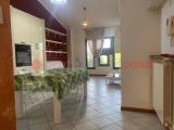 Affitto, Appartamento, CASTELFIORENTINO, 630 €, 55,00 mq