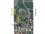 Particella, MONTALENGHE, 80.000 €, 4000,00 mq