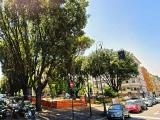 Appartamento, ROMA, 2.600.000 €, 240,00 mq