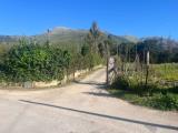 Particella, TORRETTA, 70.000 €, 3080,00 mq