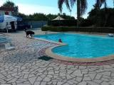 Casa, CELLOLE, 400.000 €, 196,00 mq
