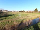 Particella, LATISANA, 240.000 €, 8200,00 mq