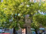 Affitto, Appartamento, MILANO, 1.230 €, 80,00 mq
