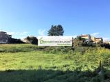 Particella, PONTECORVO, 210.000 €, 7470,00 mq