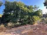 Particella, SCANO DI MONTIFERRO, 22.000 €, 300,00 mq
