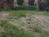 Casa, LUCCA, 200.000 €, 213,00 mq
