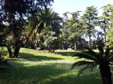 Affitto, Appartamento, ROMA, 1.150 €, 57,00 mq